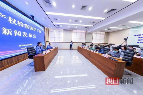 湖北通報(bào)知識(shí)產(chǎn)權(quán)檢察保護(hù)典型案例 侵權(quán)影片2200余部，8人因從事廣告業(yè)務(wù)獲刑