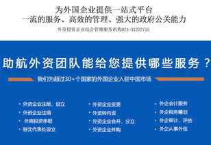 沈陽外資企業注冊與財務公司涉外服務全攻略 技術咨詢與技術服務的專業支持